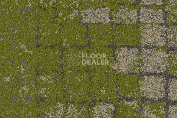 Ковровая плитка Interface Collection Human Connections Moss 8341001 Granite moss фото 1 | FLOORDEALER